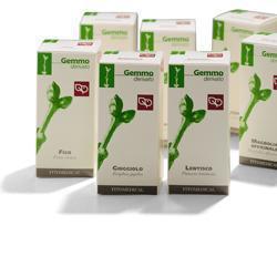 BETULLA BIANCA GEMME MACERATO GLICERICO 50 ML - Farmacia Mastrangelo 