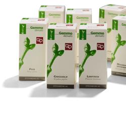 SEGALE MACERATO GLICERICO 50 ML - Farmacia Mastrangelo 