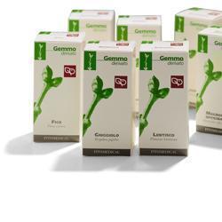 VITE VINIFERA MACERATO GLICERICO 50 ML - Farmacia Mastrangelo 