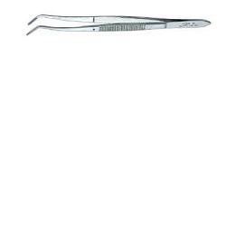 PINZA MEDICAZIONE DENTARIA - Farmacia Mastrangelo 