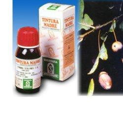 QUERCIA MARI 14 50ML TM - Farmacia Mastrangelo 
