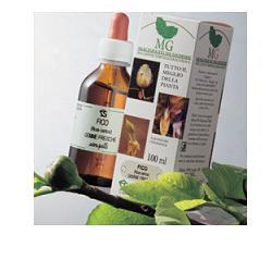 ROSA CANINA MACERATO GLICERICO 100 ML - Farmacia Mastrangelo 