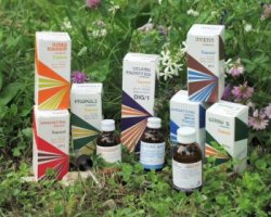 RAEMIL GINEPRO MACERATO IDROALCOLICO COMP 50 ML - Farmacia Mastrangelo 