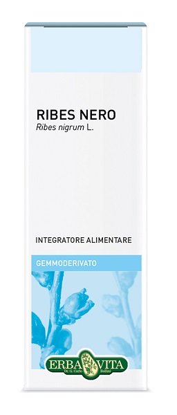 GEMMODERIVATO RIBES NERO 50 ML - Farmacia Mastrangelo 