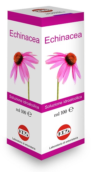 ECHINACEA SOLUZIONE IDROALCOLICA PIANTA FRESCA 100 ML - Farmacia Mastrangelo 