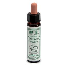 AINSWORTHS CHERRY PLUM 10ML - Farmacia Mastrangelo 