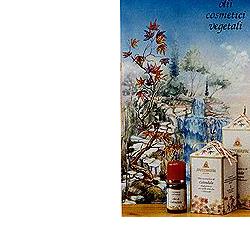 CALENDULA OLIO 100ML - Farmacia Mastrangelo 