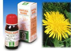 TARASSACO 28 50ML TM - Farmacia Mastrangelo 