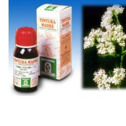 VALERIANA 36 TINTURA MADRE 50 ML - Farmacia Mastrangelo 