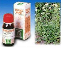 ACHILLEA 51 TINTURA MADRE 50 ML - Farmacia Mastrangelo 