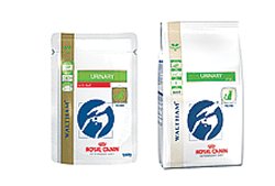 VETERINARY DIET FELINE DRY URINARY S/O 400 G - Farmacia Mastrangelo 
