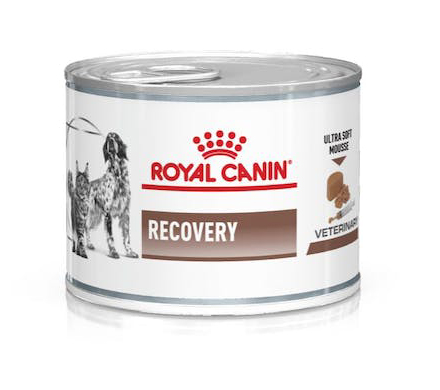 VETERINARY DIET WET DOG & CAT RECOVERY 195 G - Farmacia Mastrangelo 