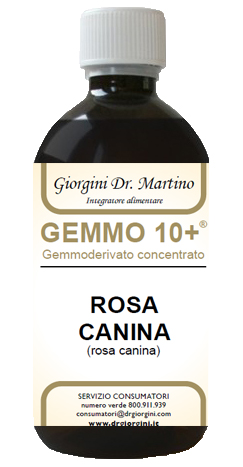 GEMMO 10+ ROSA CANINA LIQUIDO ANALCOLICO 500 ML - Farmacia Mastrangelo 