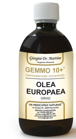 GEMMO 10+ OLIVO 500 ML LIQUIDO ANALCOLICO - Farmacia Mastrangelo 