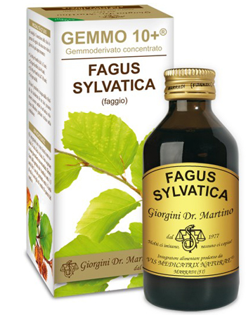 GEMMO 10+ FAGGIO 100 ML LIQUIDO ANALCOLICO - Farmacia Mastrangelo 