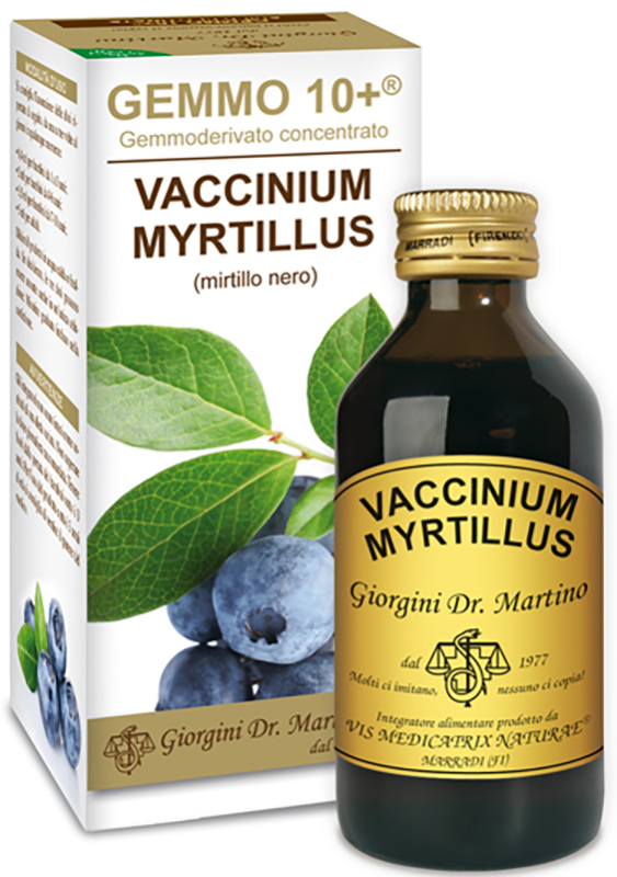 GEMMO 10+ GEMMODERIVATO CONCENTRATO VACCINIUM MYRTILLUS MIRTILLO NERO SENZA ALCOOL 100 ML - Farmacia Mastrangelo 