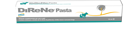 DIRENE PASTA 15 ML - Farmacia Mastrangelo 