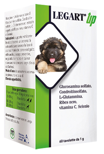 LEGART UP 60 COMPRESSE DA 1 G - Farmacia Mastrangelo 