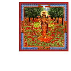 NEESHA-MA GOCCE 30 ML - Farmacia Mastrangelo 