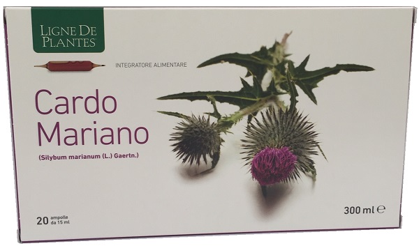 CARDO MARIANO 20 AMPOLLE BEVIBILI DA 15 ML - Farmacia Mastrangelo 