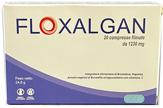 FLOXALGAN 20 COMPRESSE RIVESTITE DA 1,02 G - Farmacia Mastrangelo 