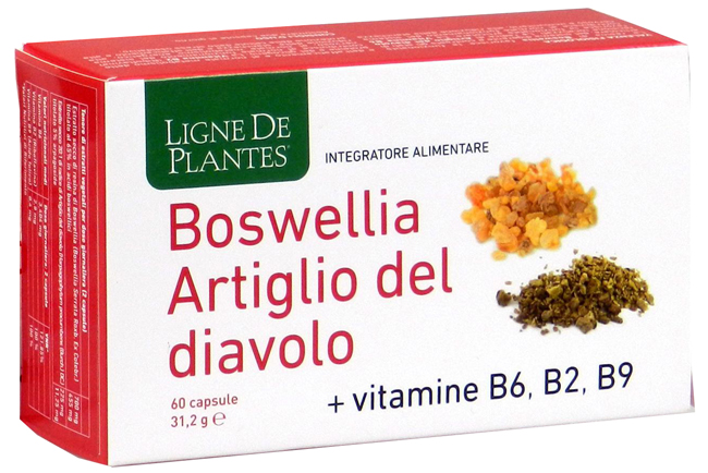 BOSWELLIA ARTIGLIO DIAVOLO VITAMINE B2 B6 B9 60 CAPSULE - Farmacia Mastrangelo 