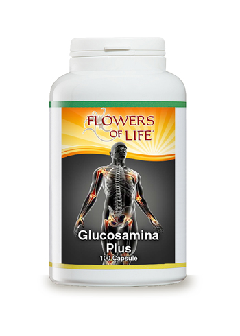 GLUCOSAMINA PLUS 100 CAPSULE FLOWERS OF LIFE - Farmacia Mastrangelo 