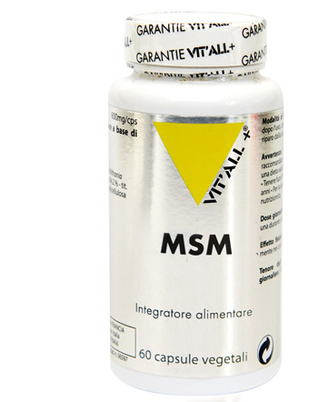 MSM 60 CAPSULE - Farmacia Mastrangelo 