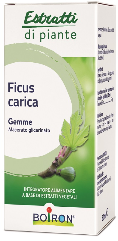 FICUS CARICA BOIRON MACERATO GLICERICO 60 ML - Farmacia Mastrangelo 