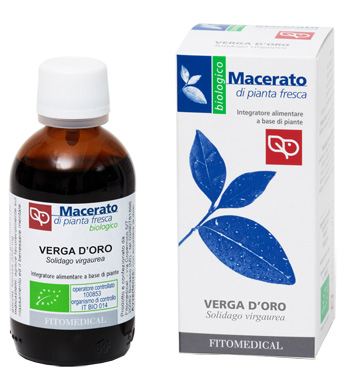 VERGA D'ORO TINTURA MADRE 50 ML BIO - Farmacia Mastrangelo 