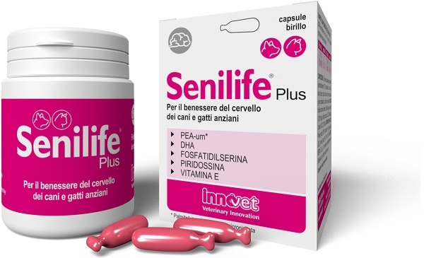 SENILIFE PLUS 60 CAPSULE - Farmacia Mastrangelo 